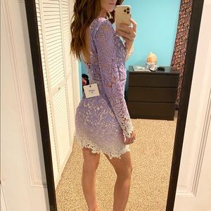 Hello Molly purple lace dress